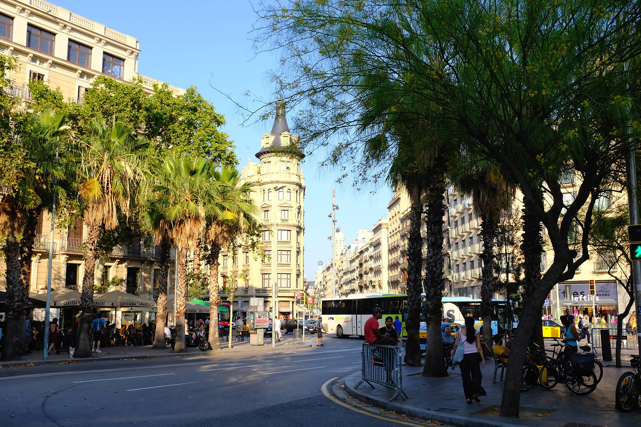 사진 2019. 7. 2. 오전 2 31 44.jpg