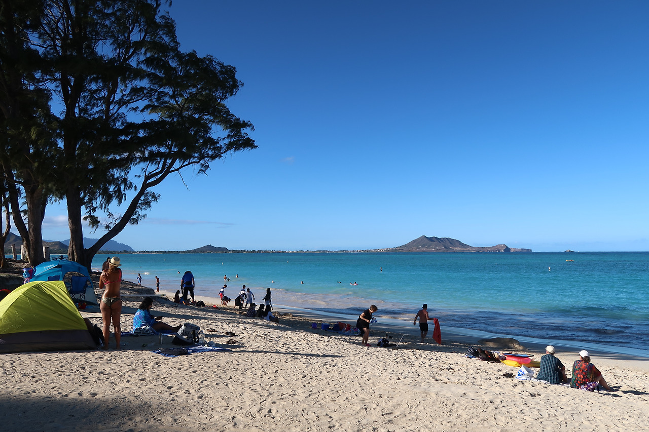 사진 2017. 1. 28. 오전 11 16 34.jpg