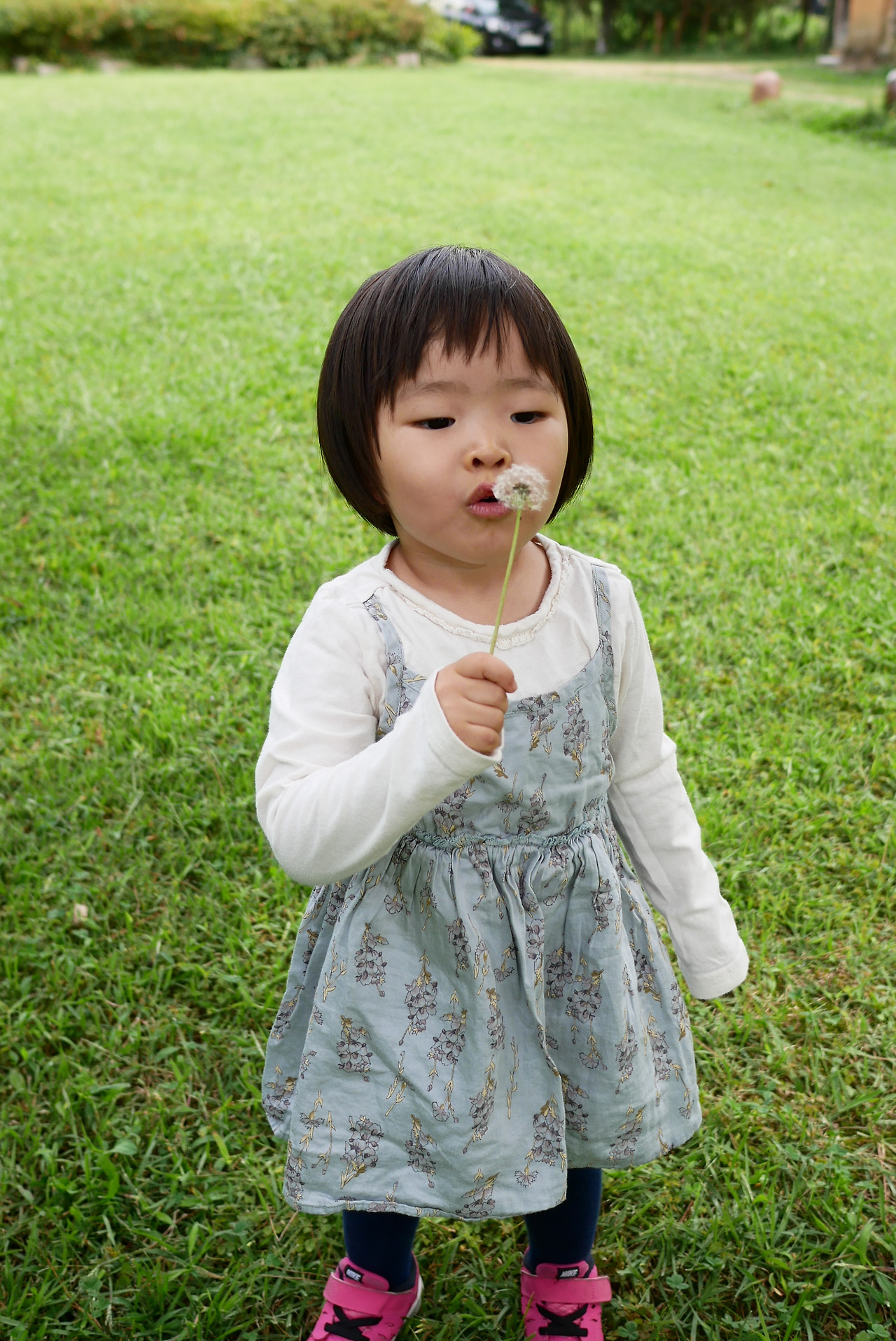 사진 2017. 9. 16. 오후 2 54 55.jpg