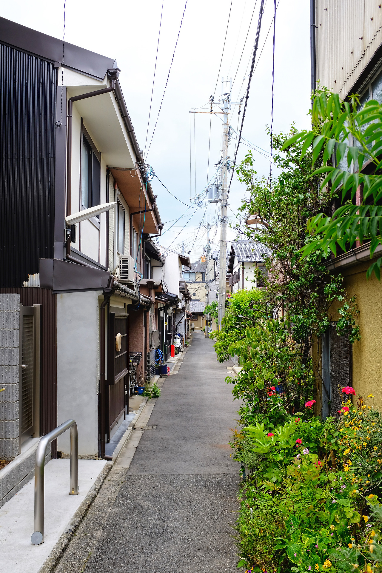 사진 2019. 5. 19. 오전 10 41 22.jpg