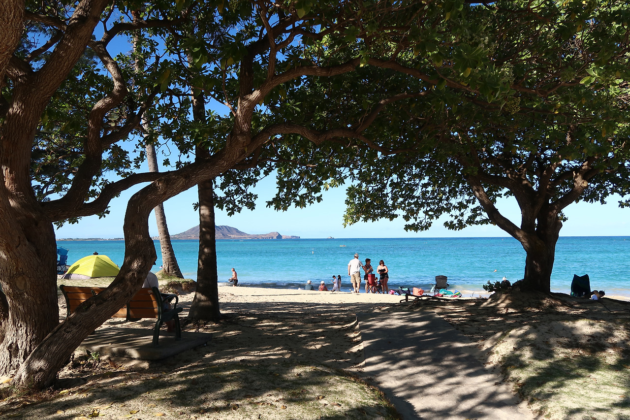 사진 2017. 1. 28. 오전 11 16 08.jpg