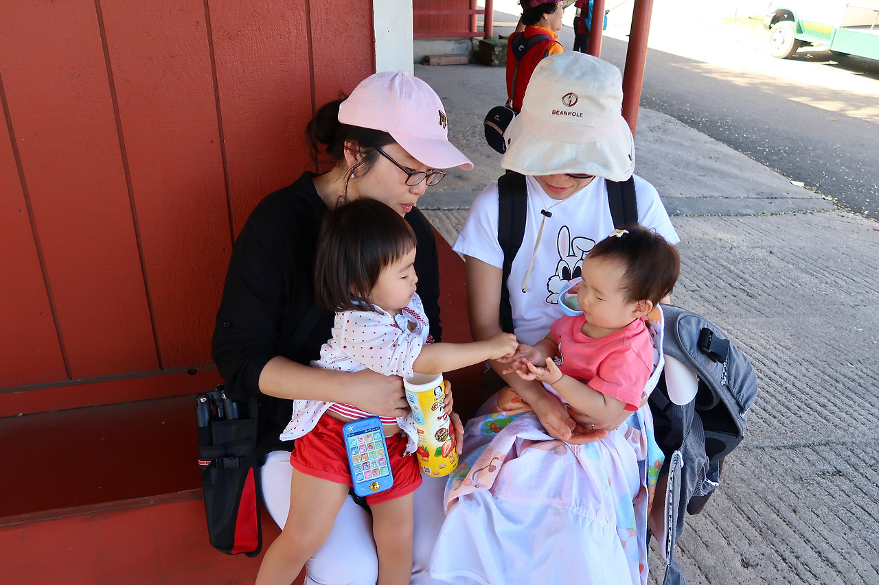 사진 2017. 1. 29. 오전 9 45 47.jpg