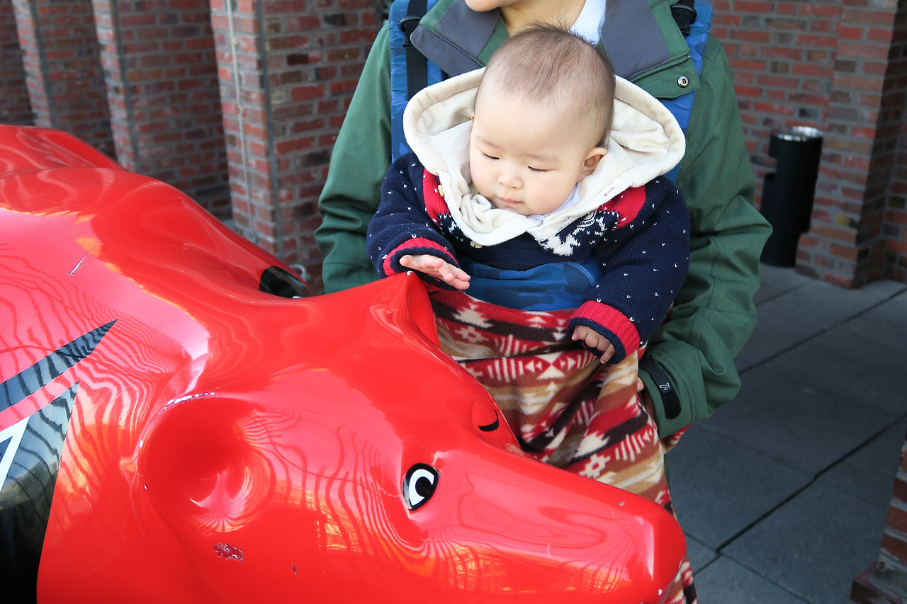 사진 2015. 10. 26. 오후 10 44 45.jpg