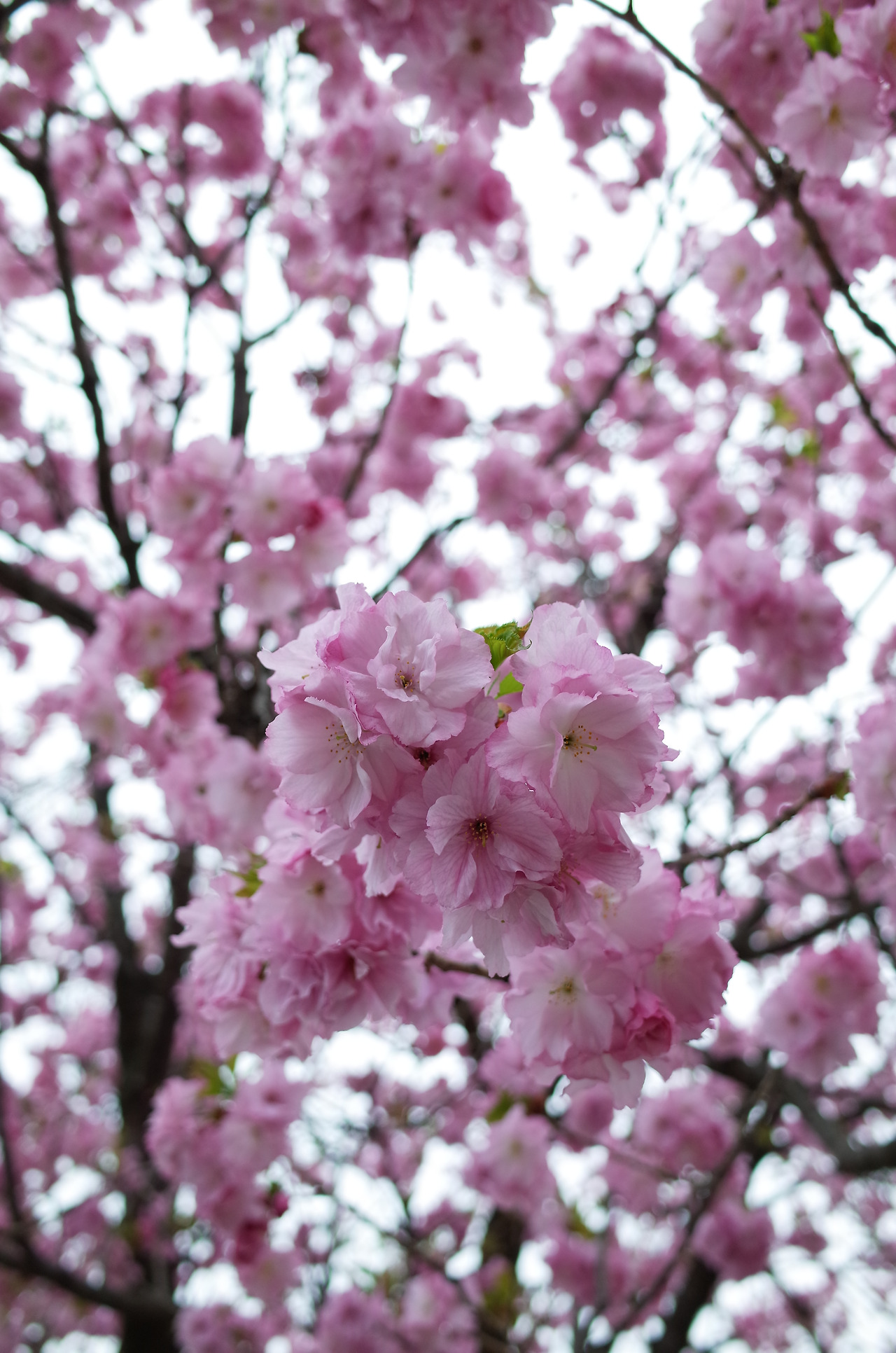 사진 2016. 4. 1. 오후 5 11 57.jpg