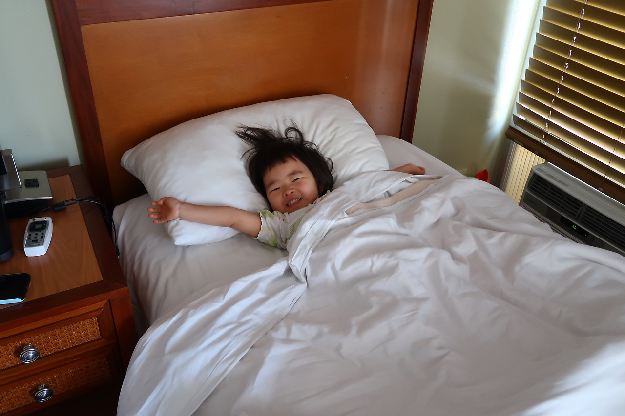 사진 2017. 1. 30. 오전 3 01 35.jpg