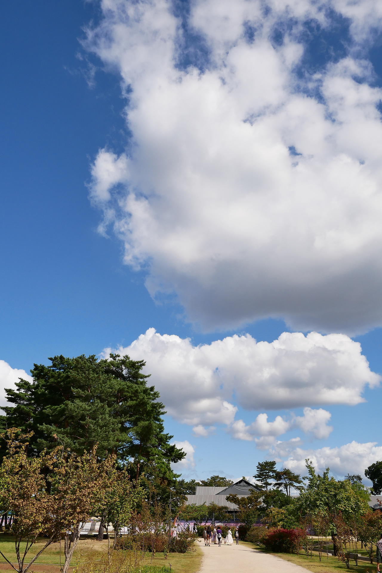 사진 2017. 10. 7. 오후 2 03 40.jpg