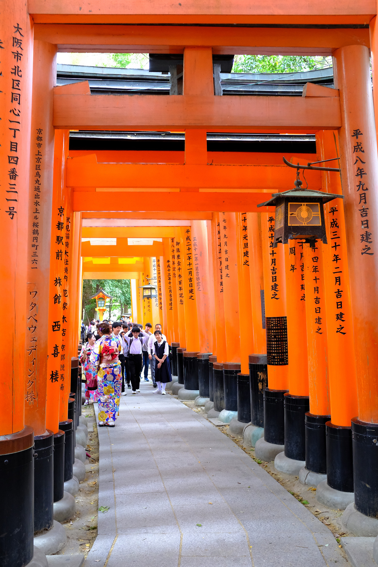 사진 2019. 5. 20. 오후 12 26 26.jpg