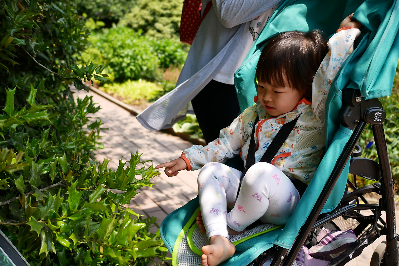 사진 2017. 5. 28. 오후 1 06 39.jpg