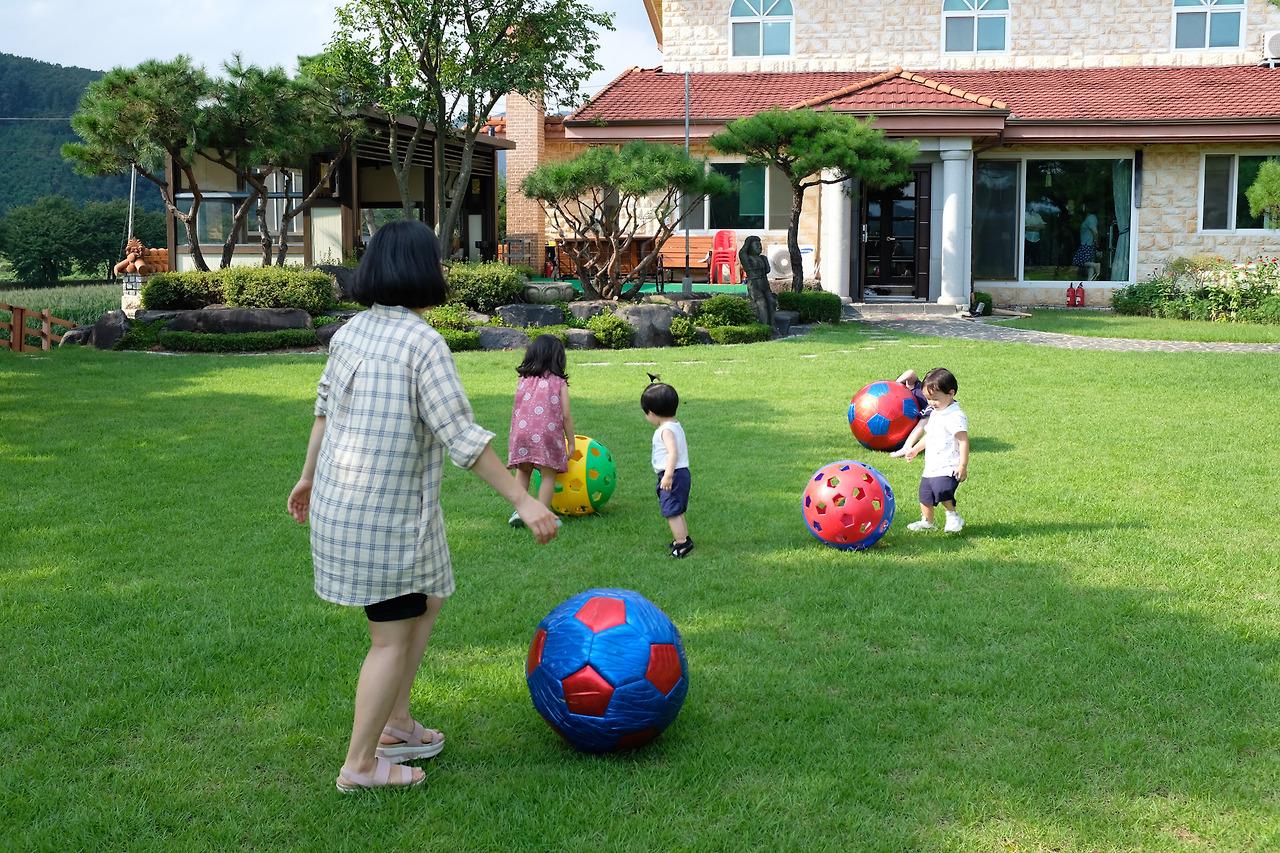 사진 2020. 8. 15. 오후 4 07 23.jpg