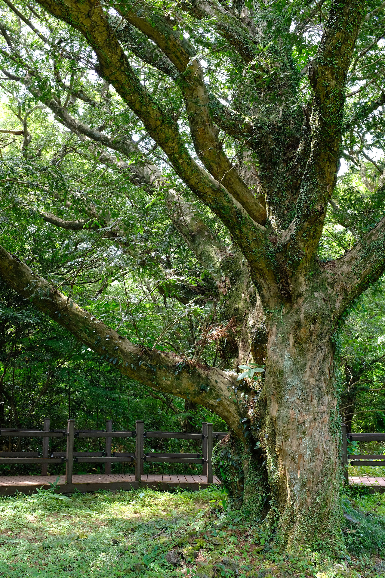 사진 2018. 8. 19. 오전 11 13 10.jpg