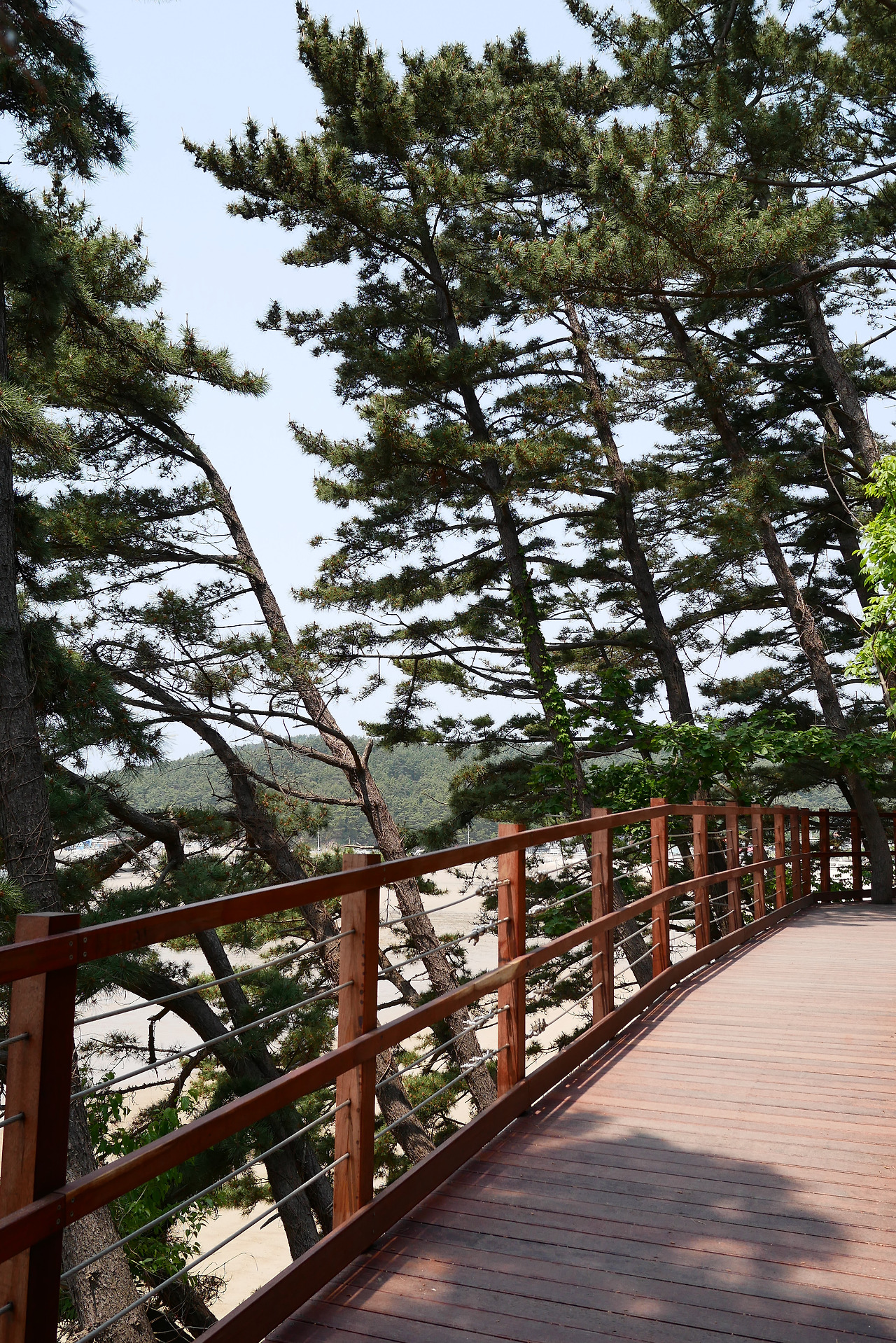 사진 2017. 5. 28. 오후 1 27 46.jpg