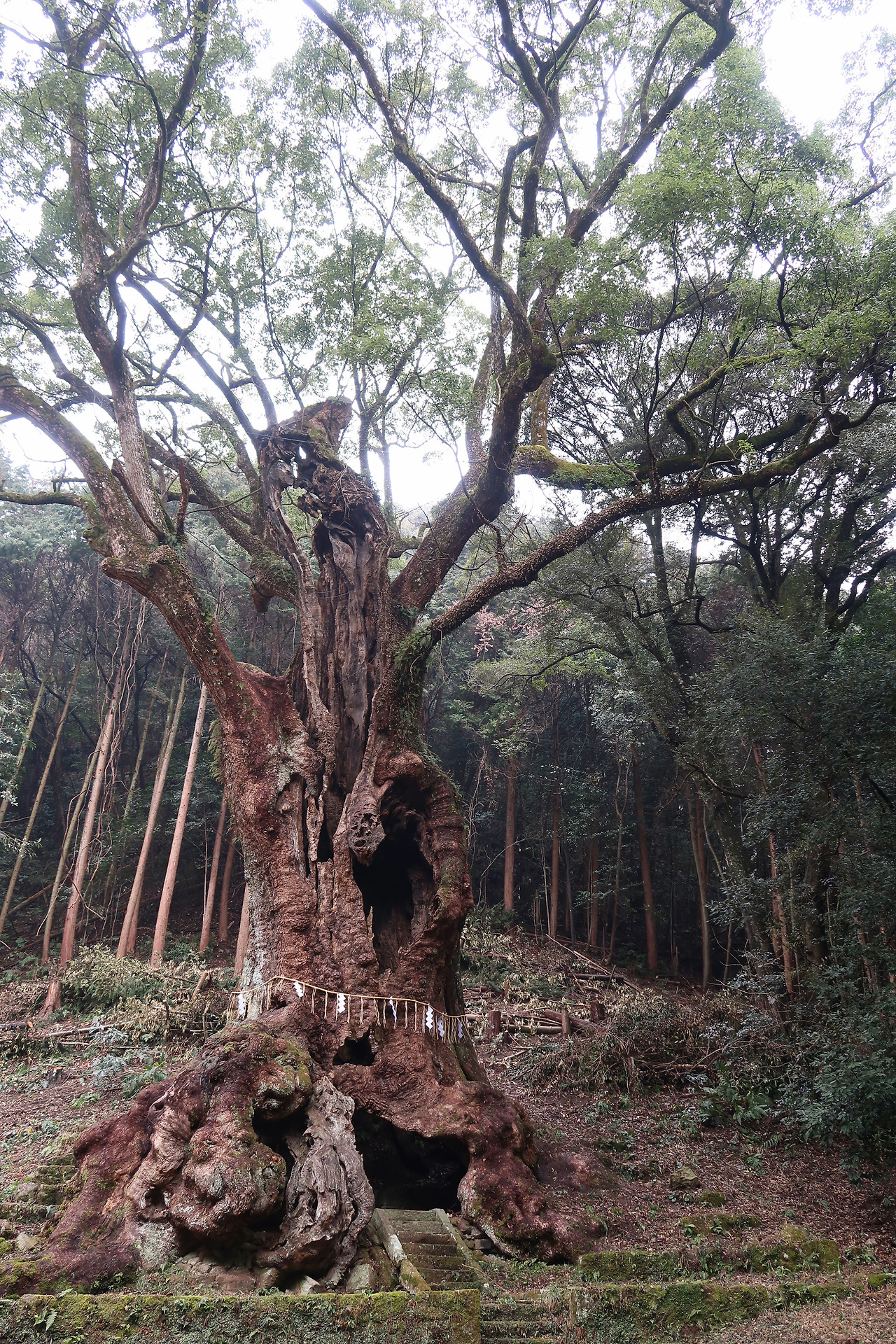 사진 2018. 2. 16. 오후 1 45 26.jpg