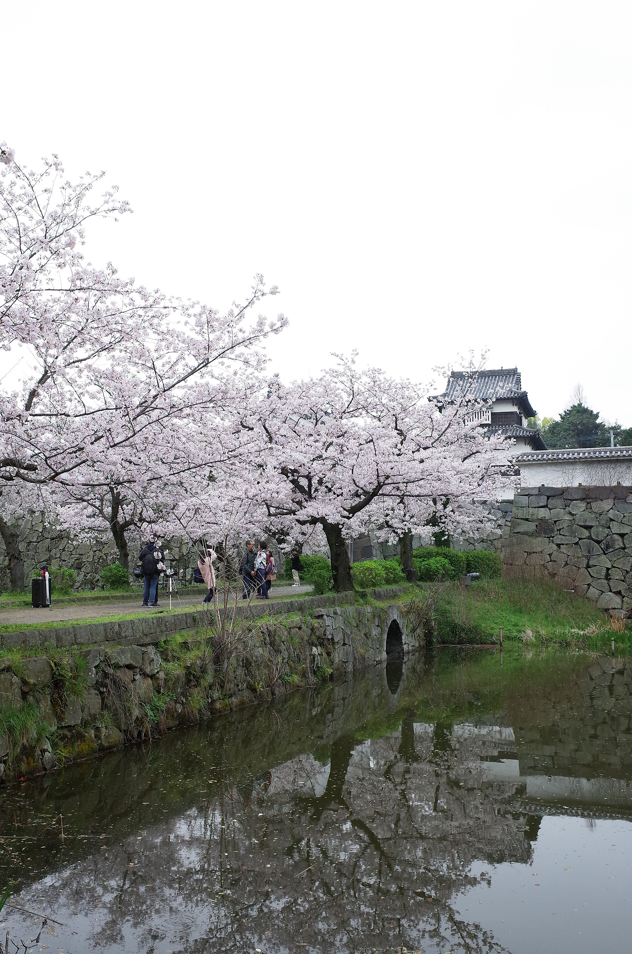 사진 2016. 4. 1. 오후 4 56 52.jpg