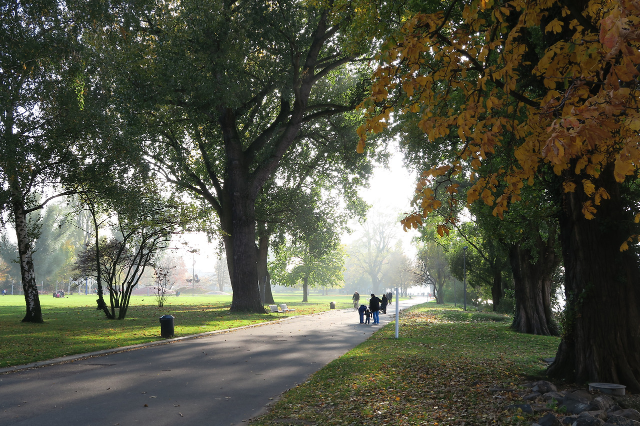 사진 2015. 10. 31. 오후 10 52 00.jpg