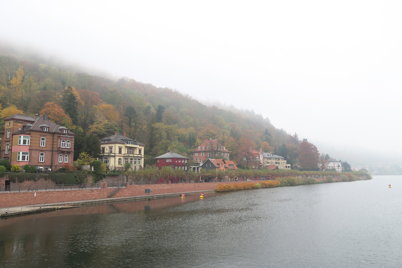 사진 2015. 11. 3. 오후 11 18 49.jpg