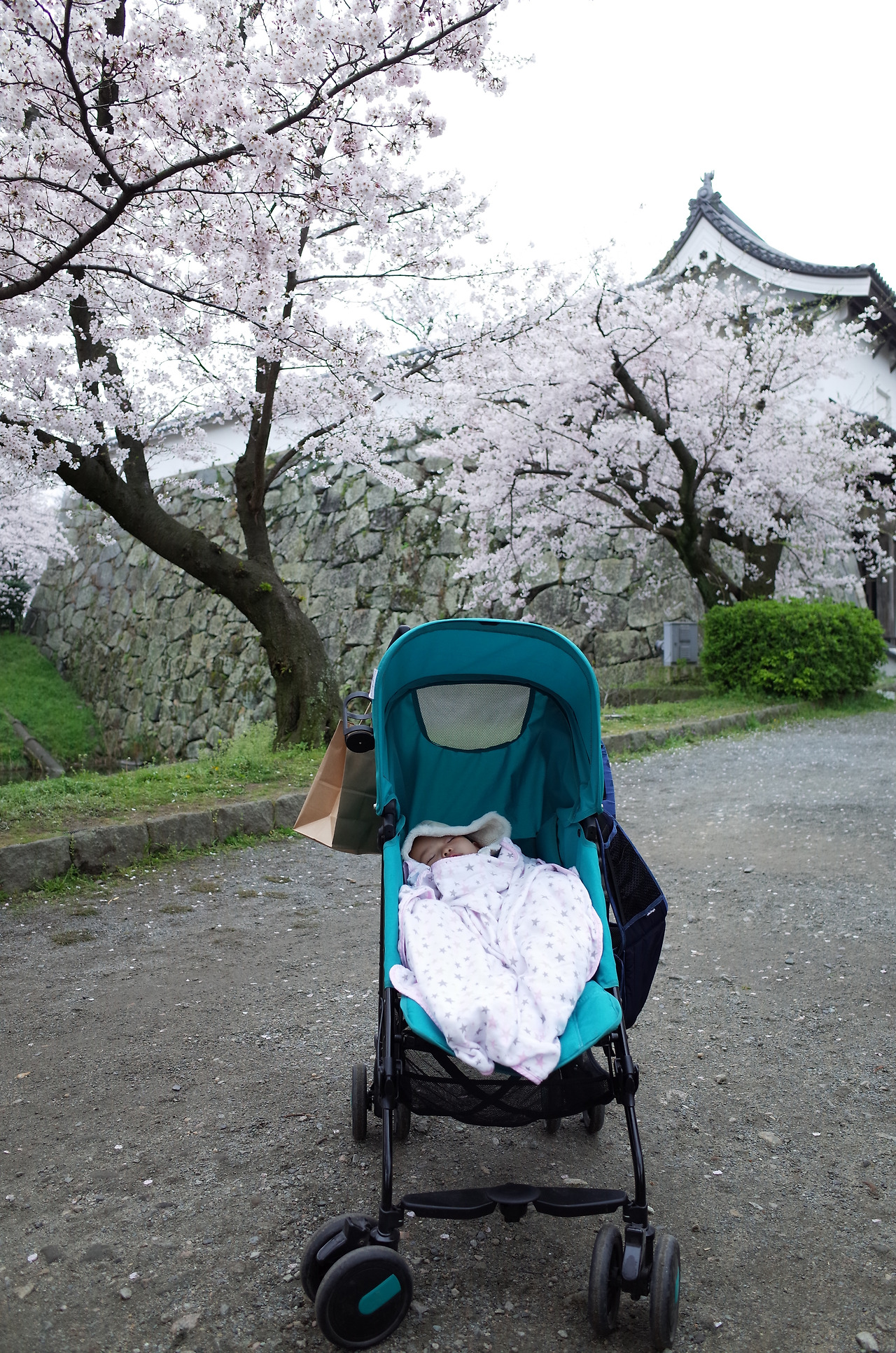 사진 2016. 4. 1. 오후 5 04 14.jpg