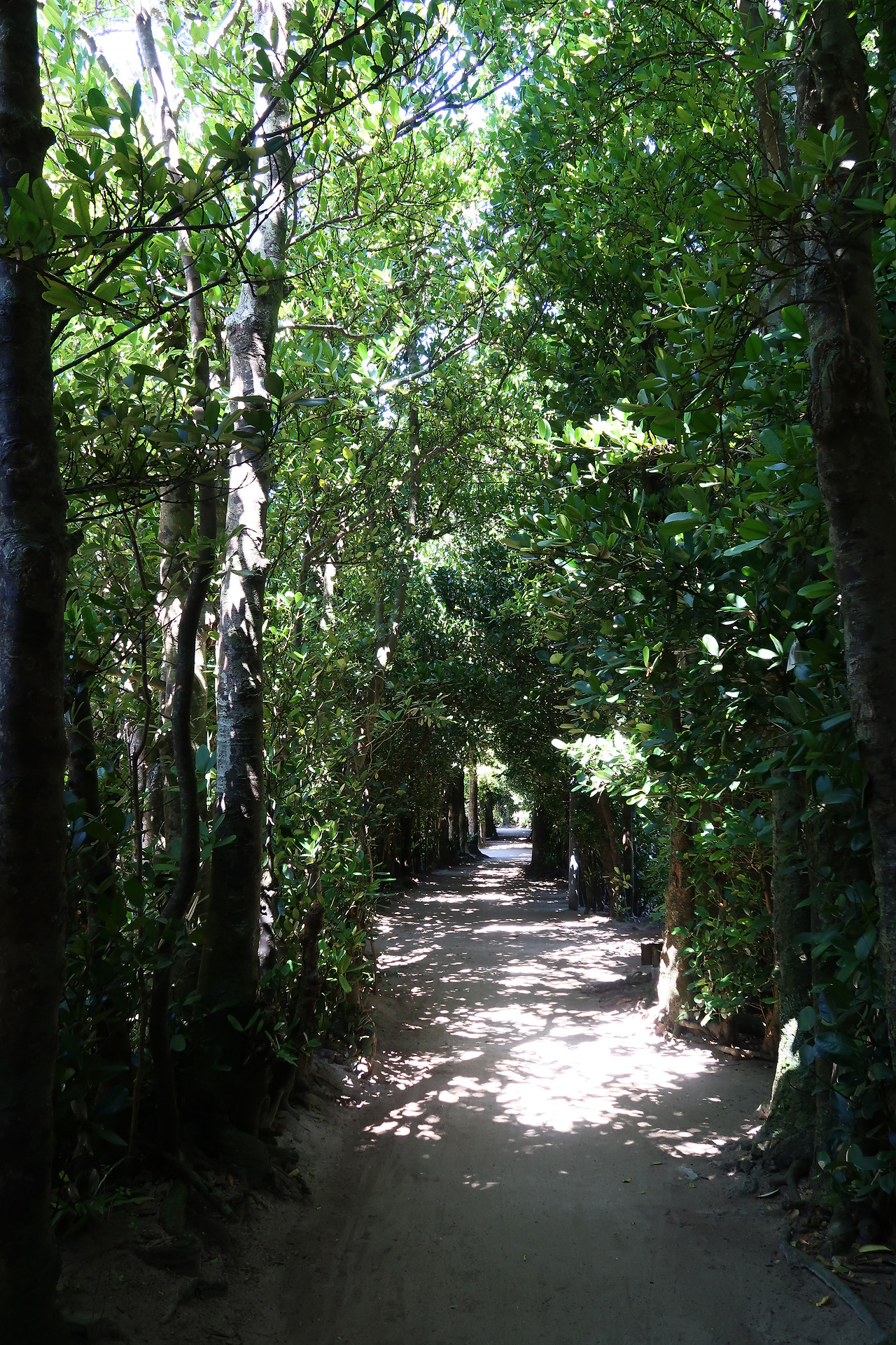 사진 2016. 10. 17. 오후 12 40 11.jpg