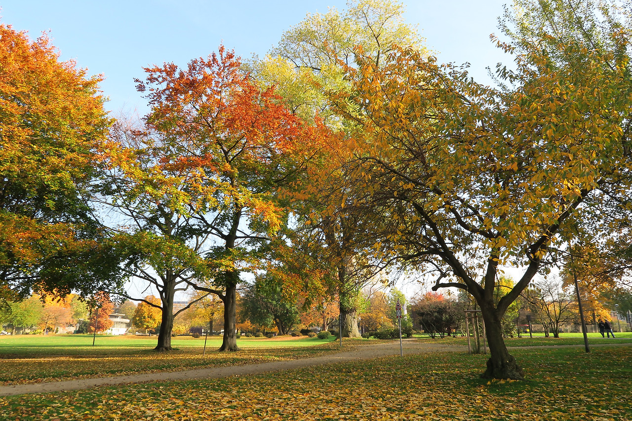 사진 2015. 10. 31. 오후 10 27 05.jpg