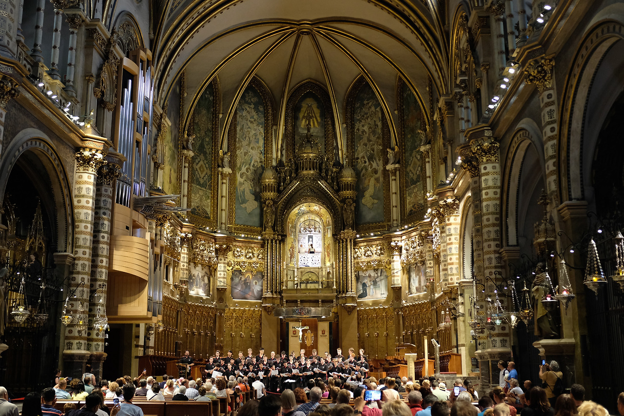 사진 2019. 6. 27. 오후 7 40 07.jpg