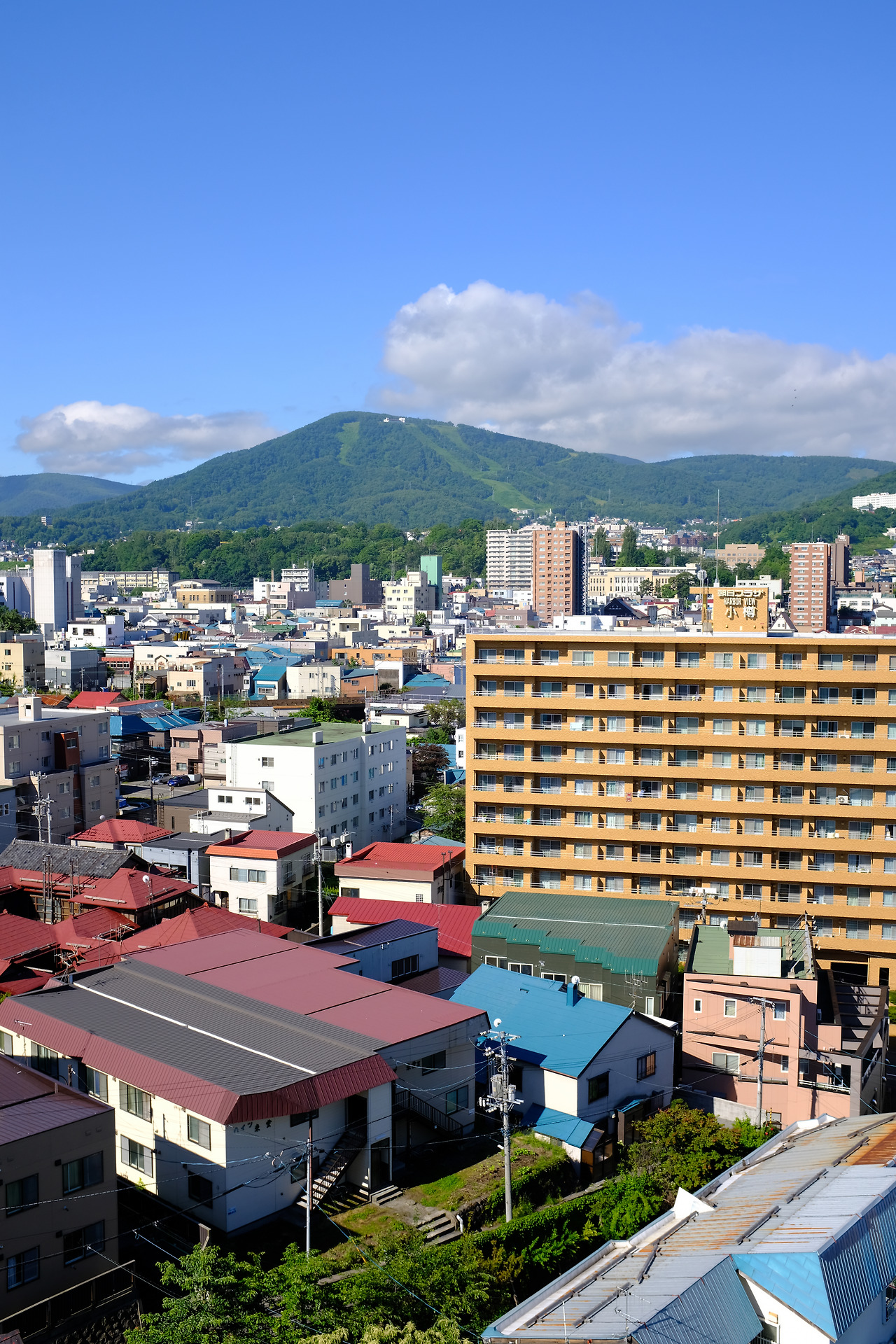 사진 2018. 7. 8. 오전 7 42 50.jpg