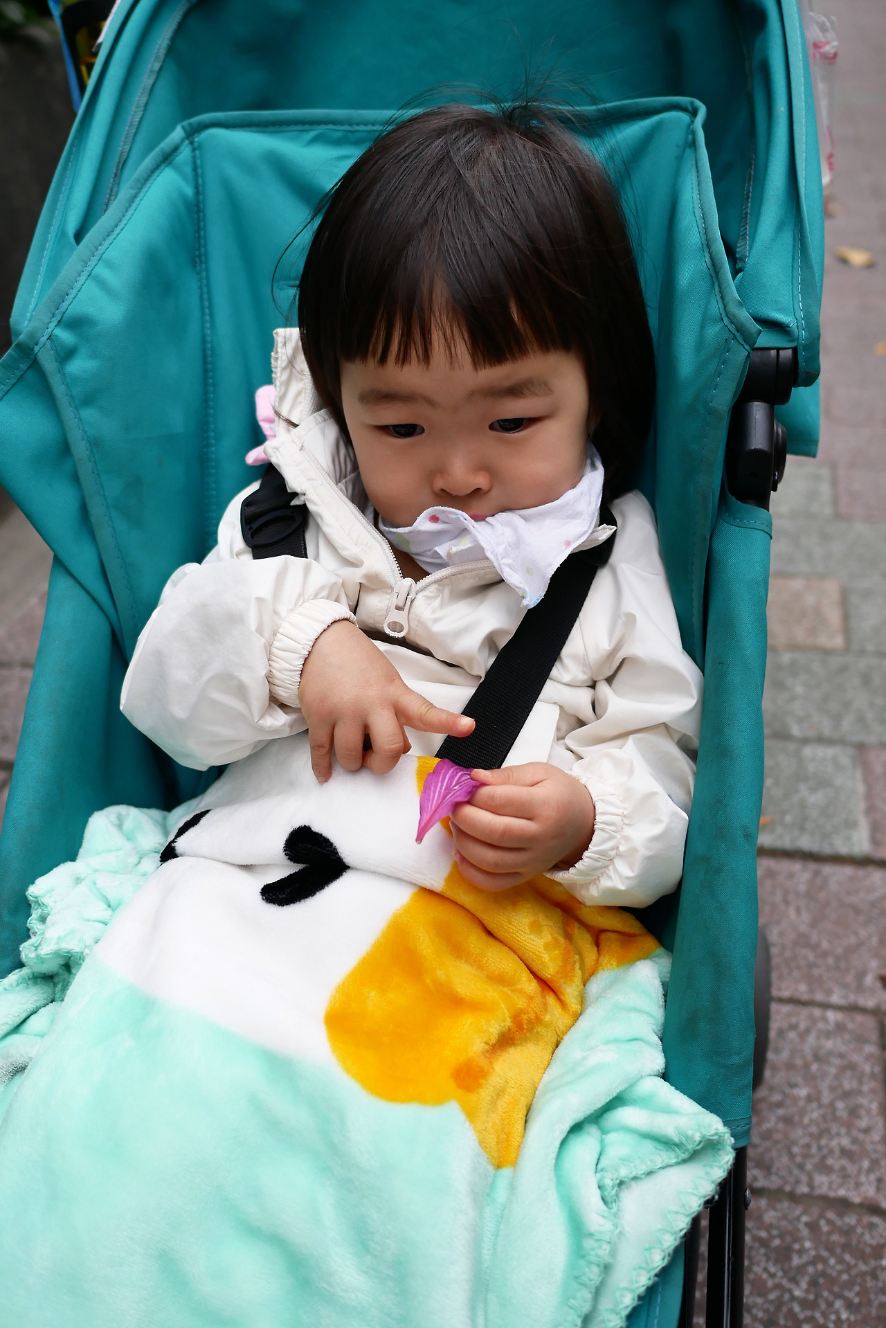 사진 2017. 3. 21. 오후 1 36 44.jpg