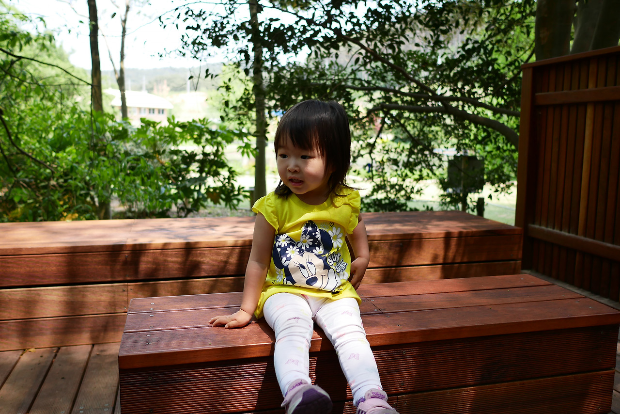 사진 2017. 5. 28. 오후 1 50 13.jpg