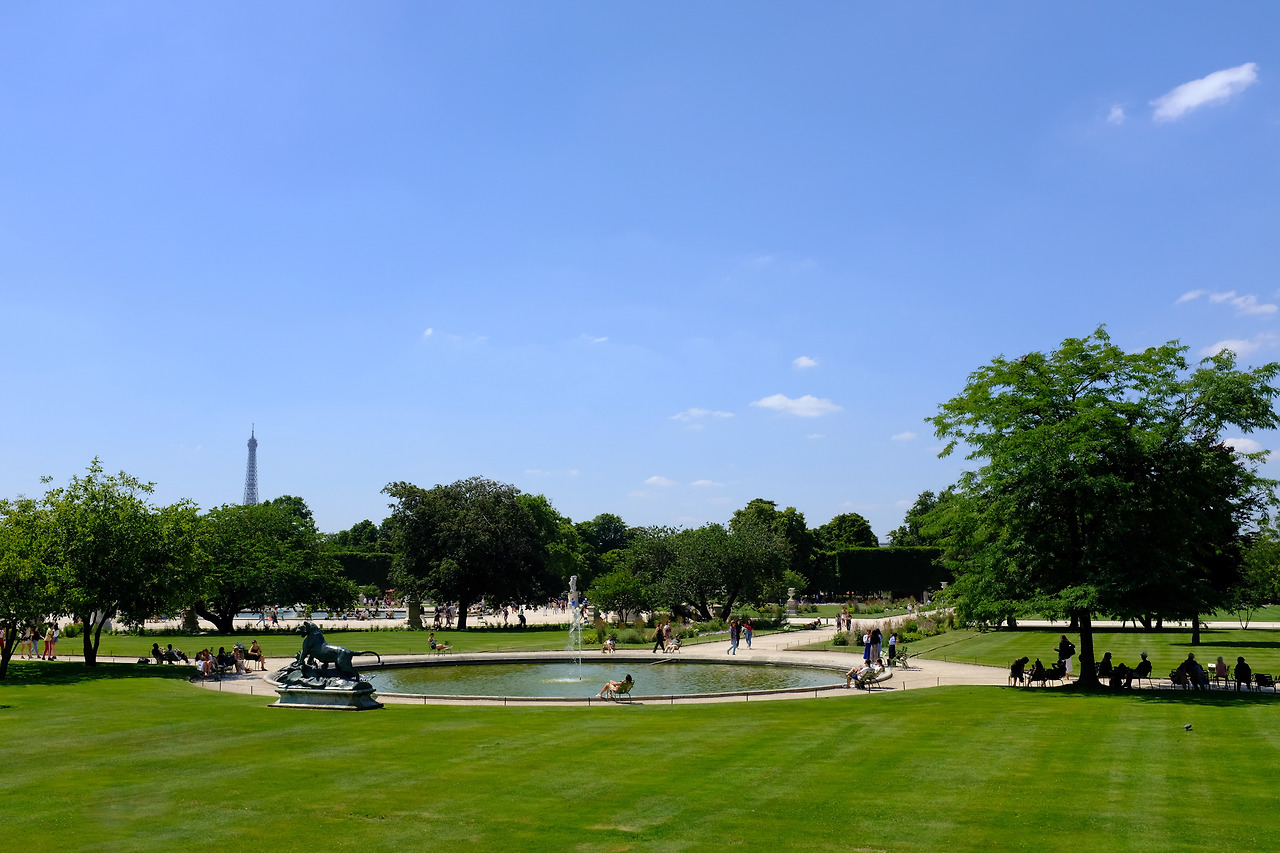 사진 2019. 7. 3. 오후 10 03 30.jpg