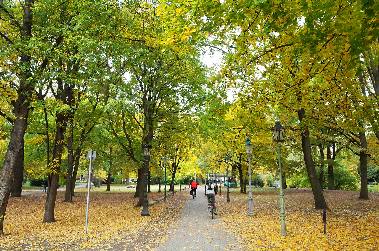 사진 2015. 10. 23. 오후 9 30 16.jpg