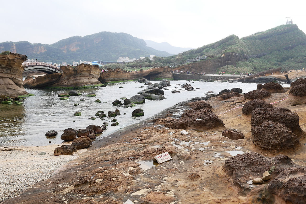 사진 2017. 3. 20. 오후 4 01 18.jpg