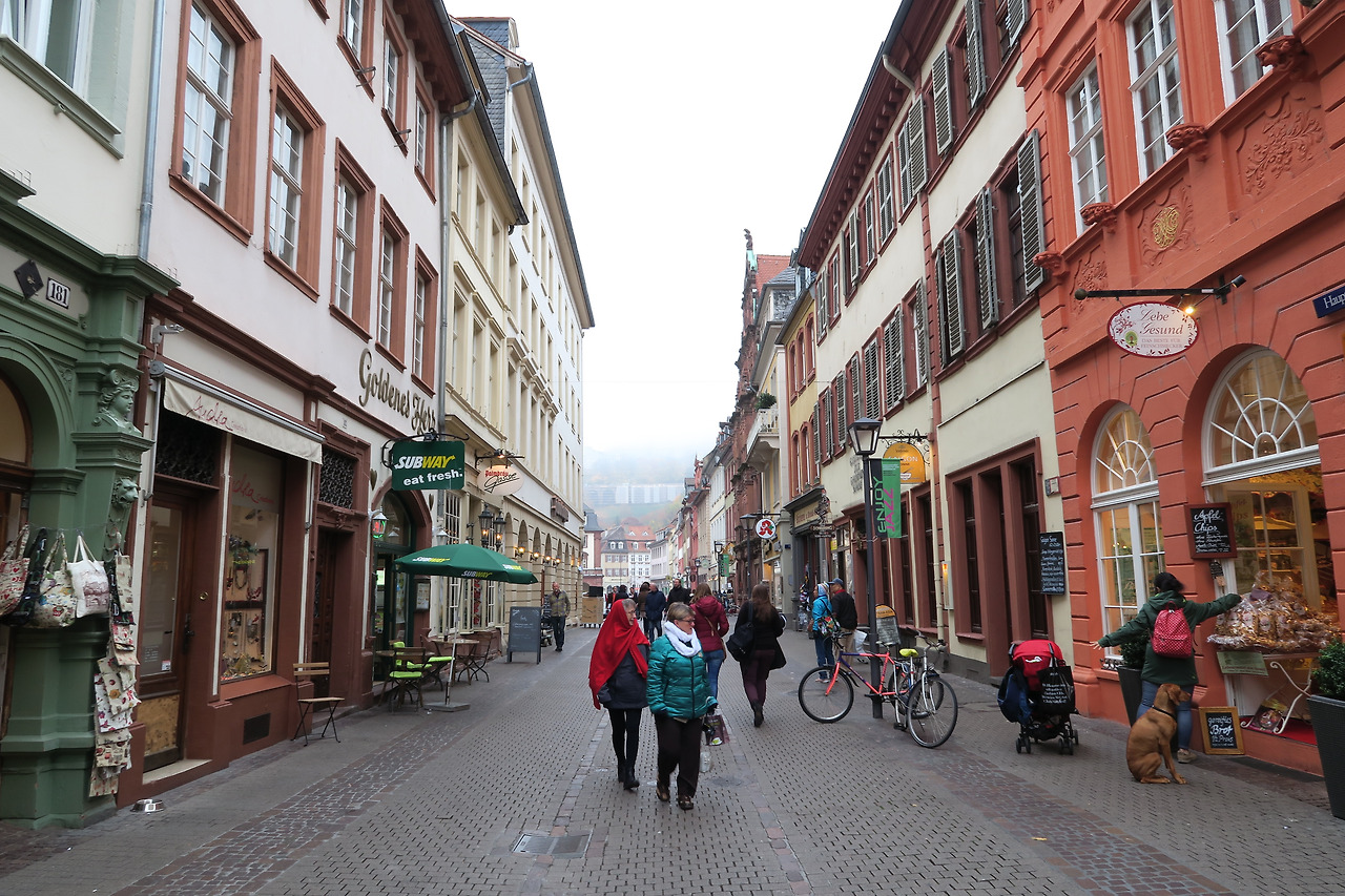 사진 2015. 11. 3. 오후 9 48 07.jpg