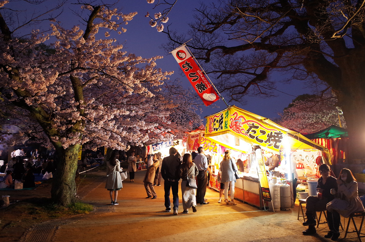 사진 2016. 4. 1. 오후 7 01 48.jpg