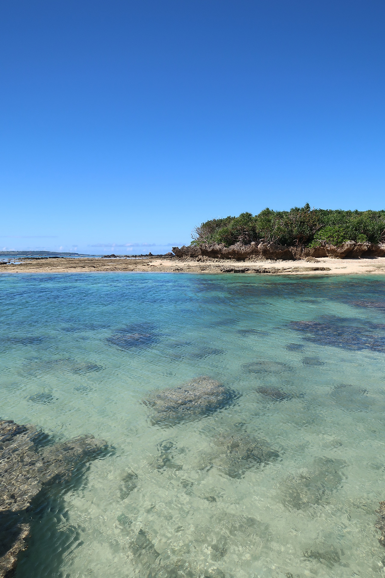 사진 2016. 10. 17. 오후 12 59 27.jpg