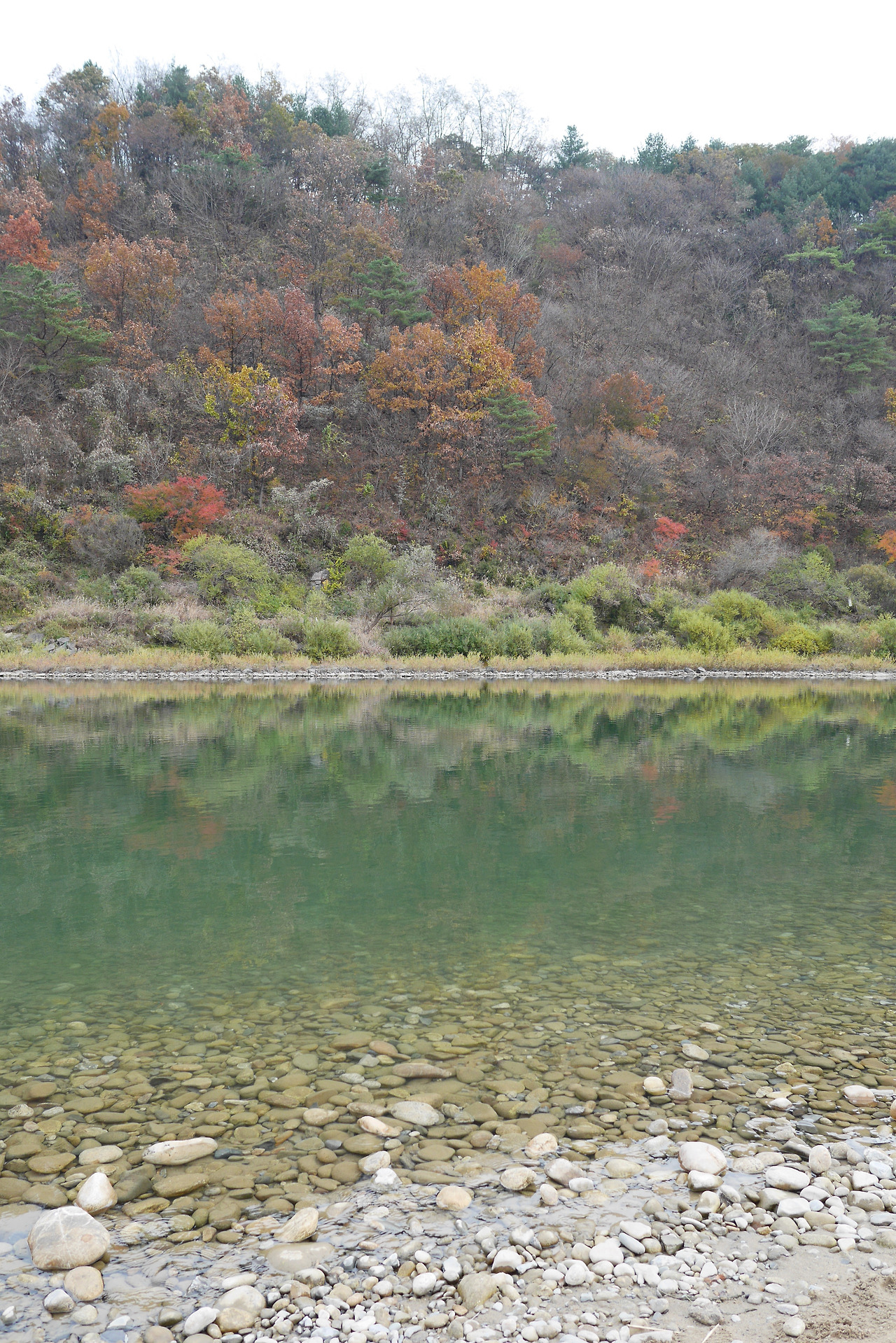 사진 2016. 11. 7. 오후 2 05 56.jpg