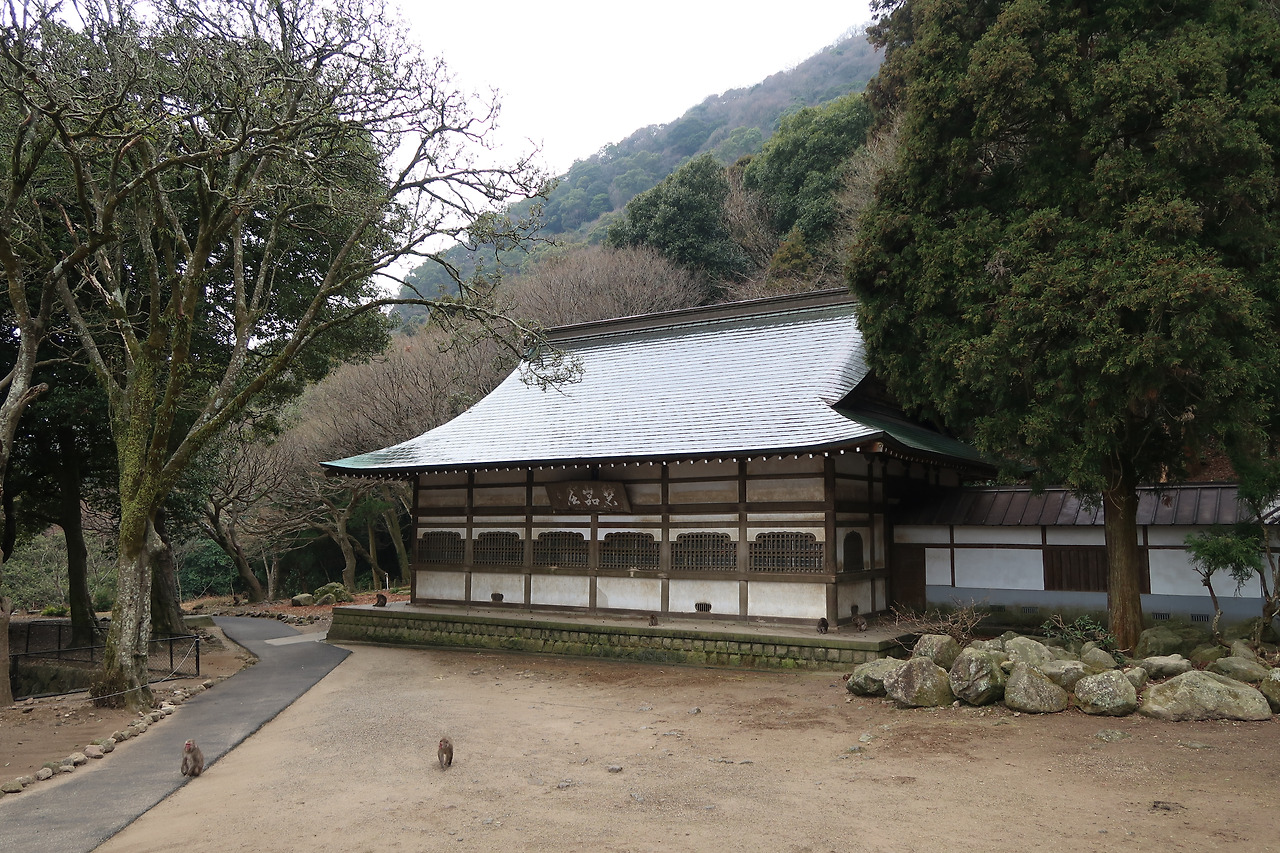 사진 2018. 2. 15. 오전 10 56 23.jpg