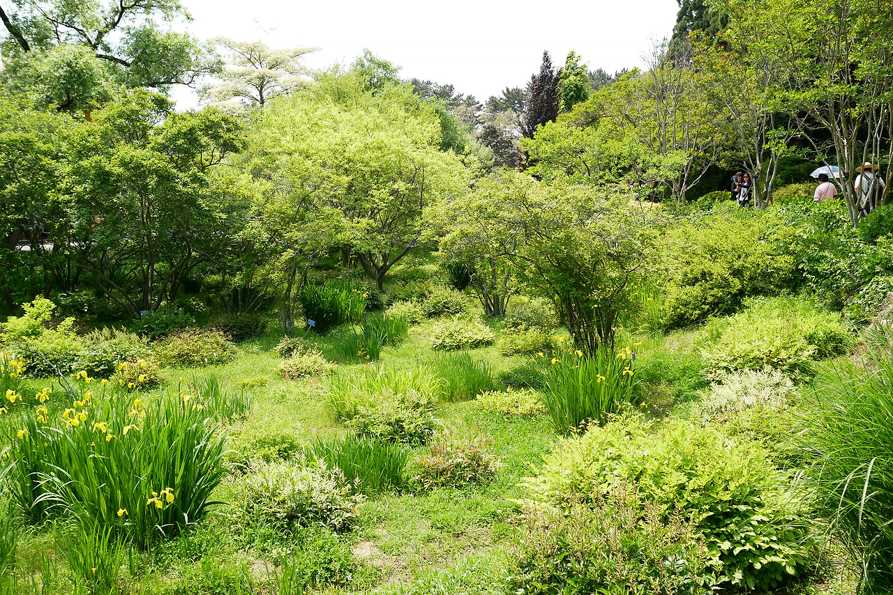 사진 2017. 5. 28. 오후 1 06 10.jpg