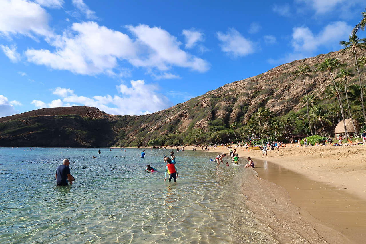 사진 2017. 1. 29. 오전 4 21 31.jpg