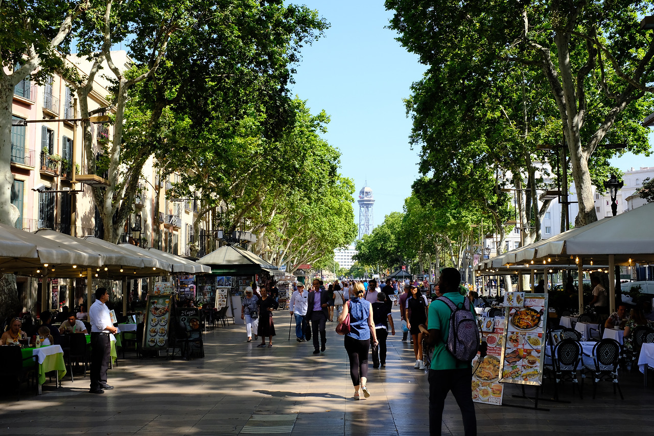 사진 2019. 6. 27. 오전 12 19 08.jpg