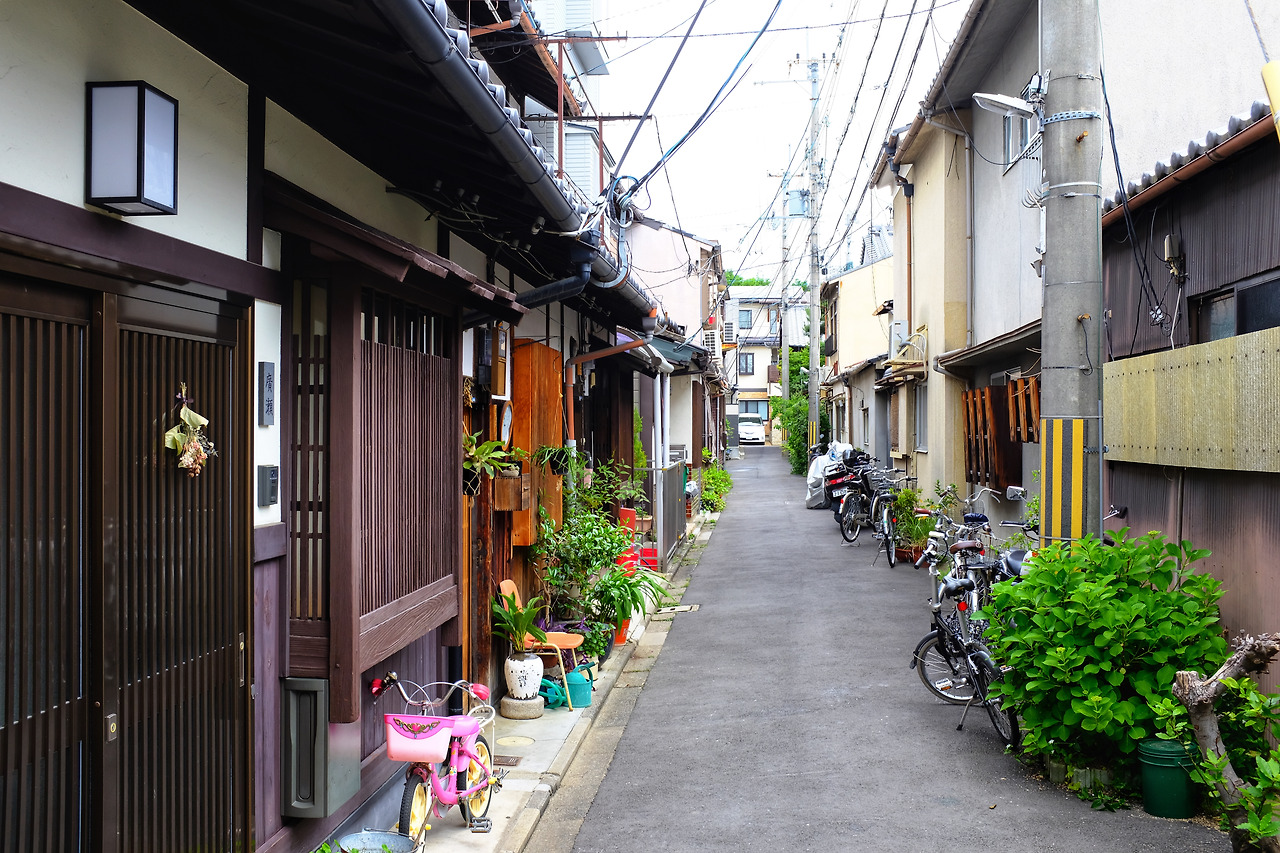 사진 2019. 5. 19. 오전 10 45 06.jpg