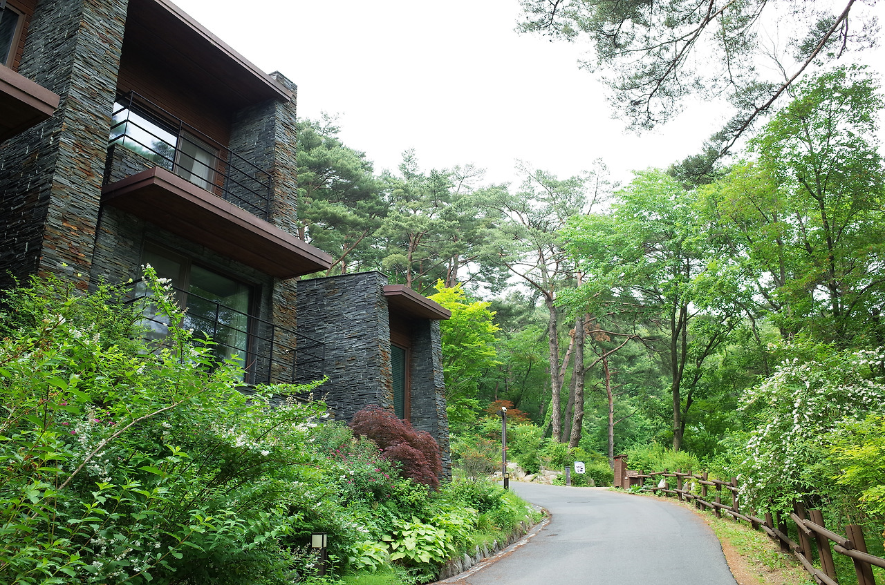 사진 2016. 6. 12. 오후 3 42 14.jpg