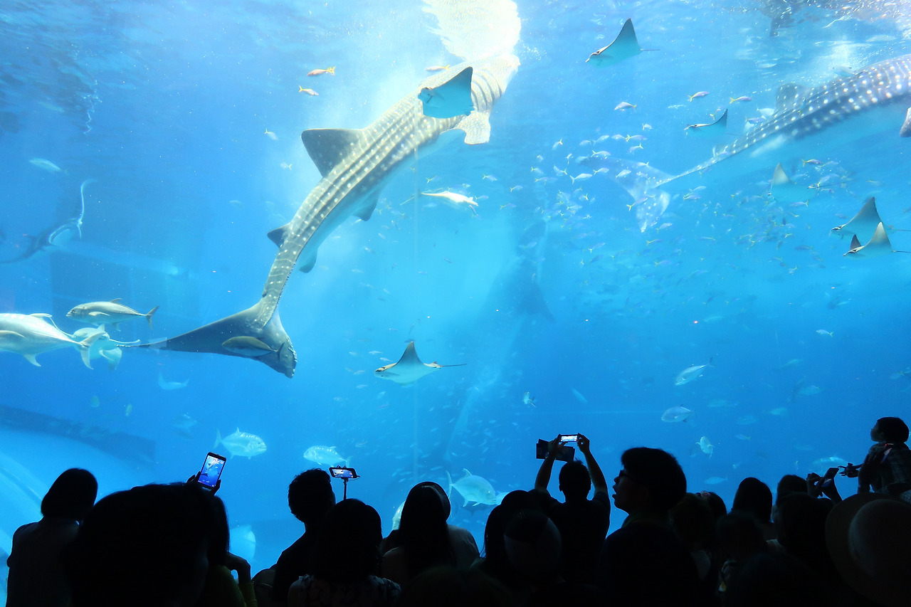 사진 2016. 10. 17. 오후 5 05 17.jpg