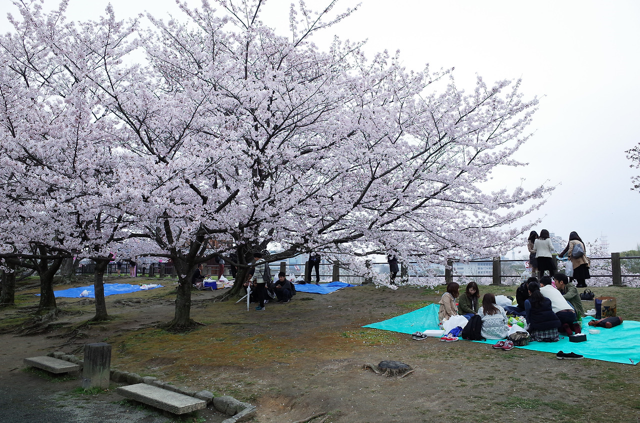 사진 2016. 4. 1. 오후 5 53 44.jpg