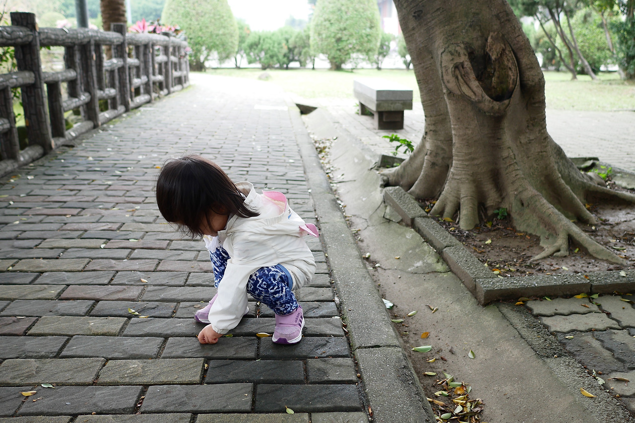 사진 2017. 3. 21. 오후 1 14 48.jpg