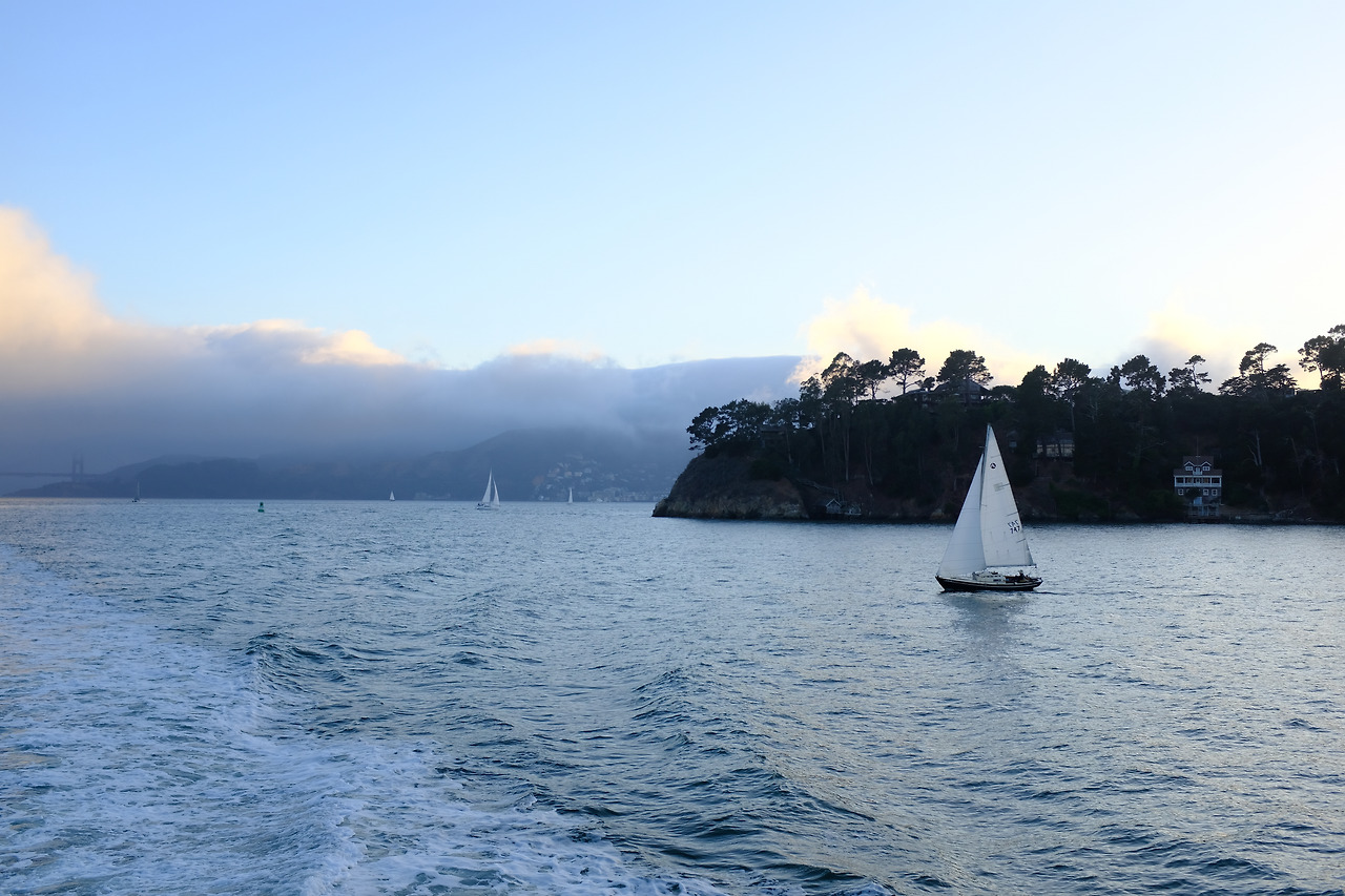 사진 2018. 9. 5. 오전 11 05 25.jpg