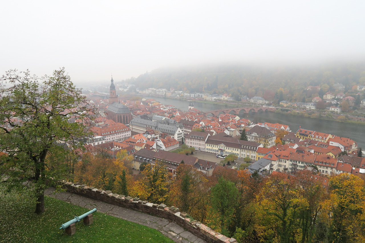 사진 2015. 11. 3. 오후 10 38 30.jpg