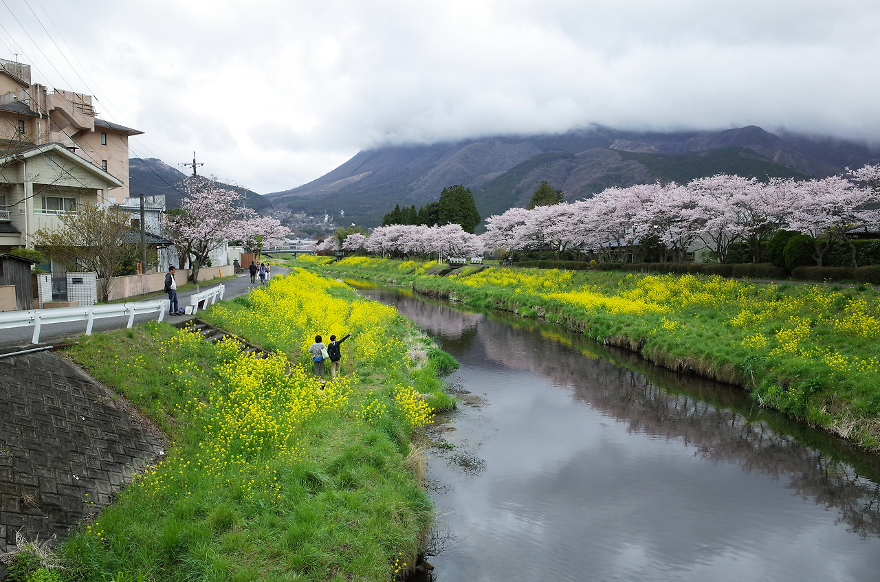 사진 2016. 4. 3. 오후 12 56 26.jpg