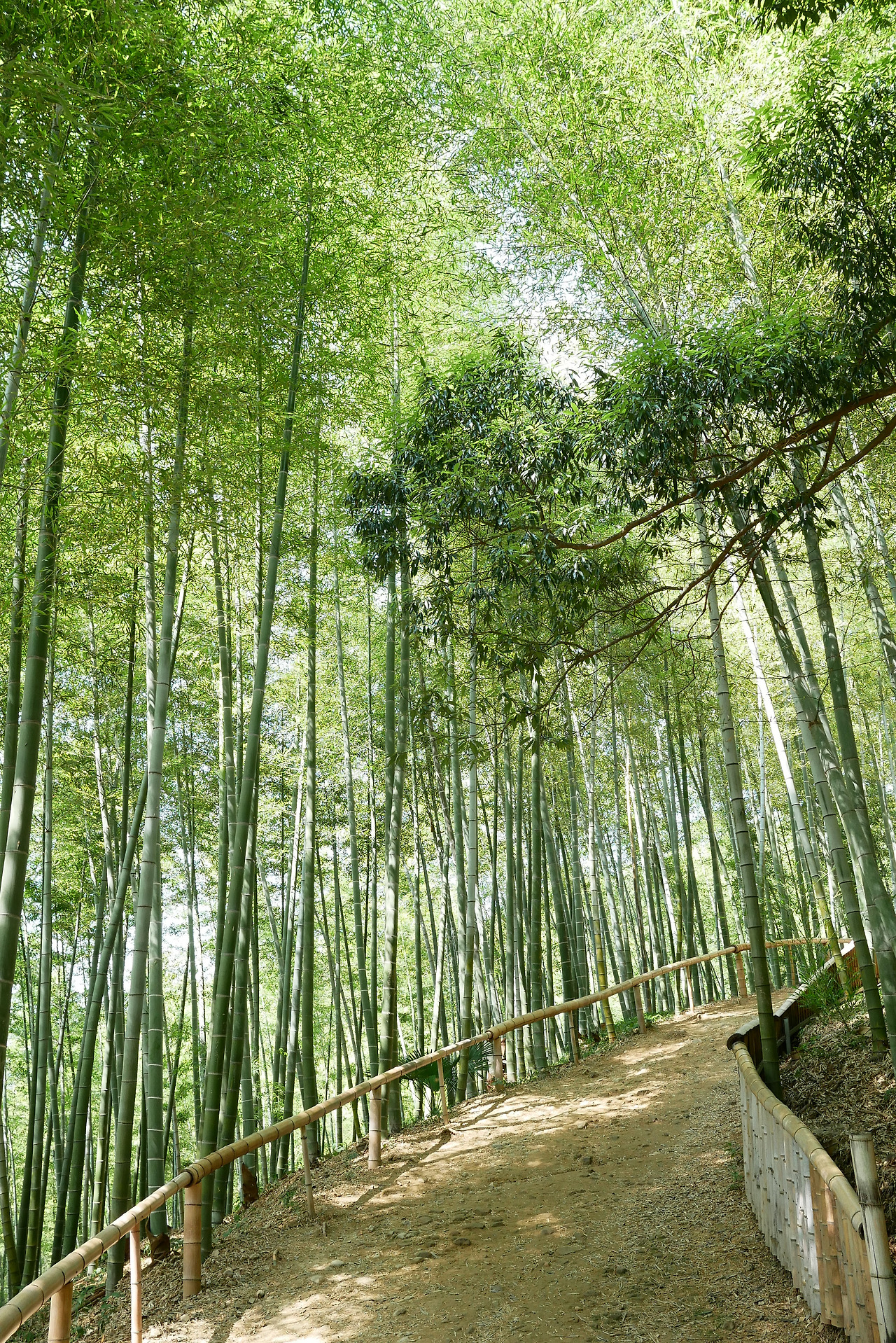 사진 2017. 8. 11. 오후 2 48 22.jpg