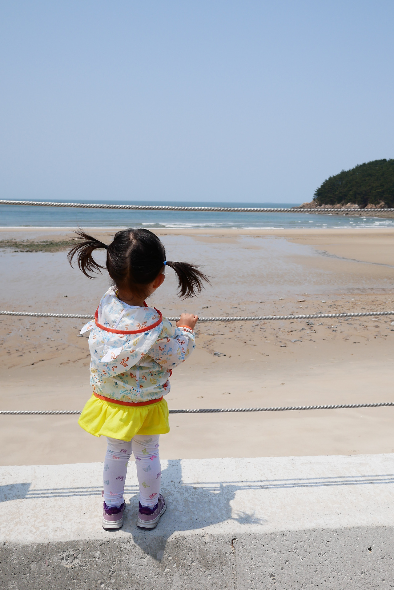 사진 2017. 5. 28. 오후 12 27 41.jpg