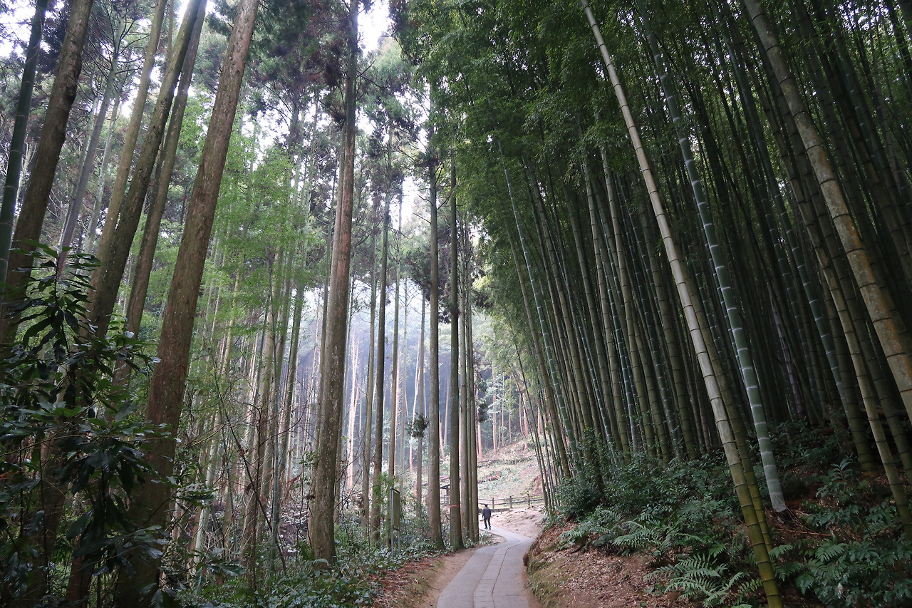 사진 2018. 2. 16. 오후 1 38 55.jpg