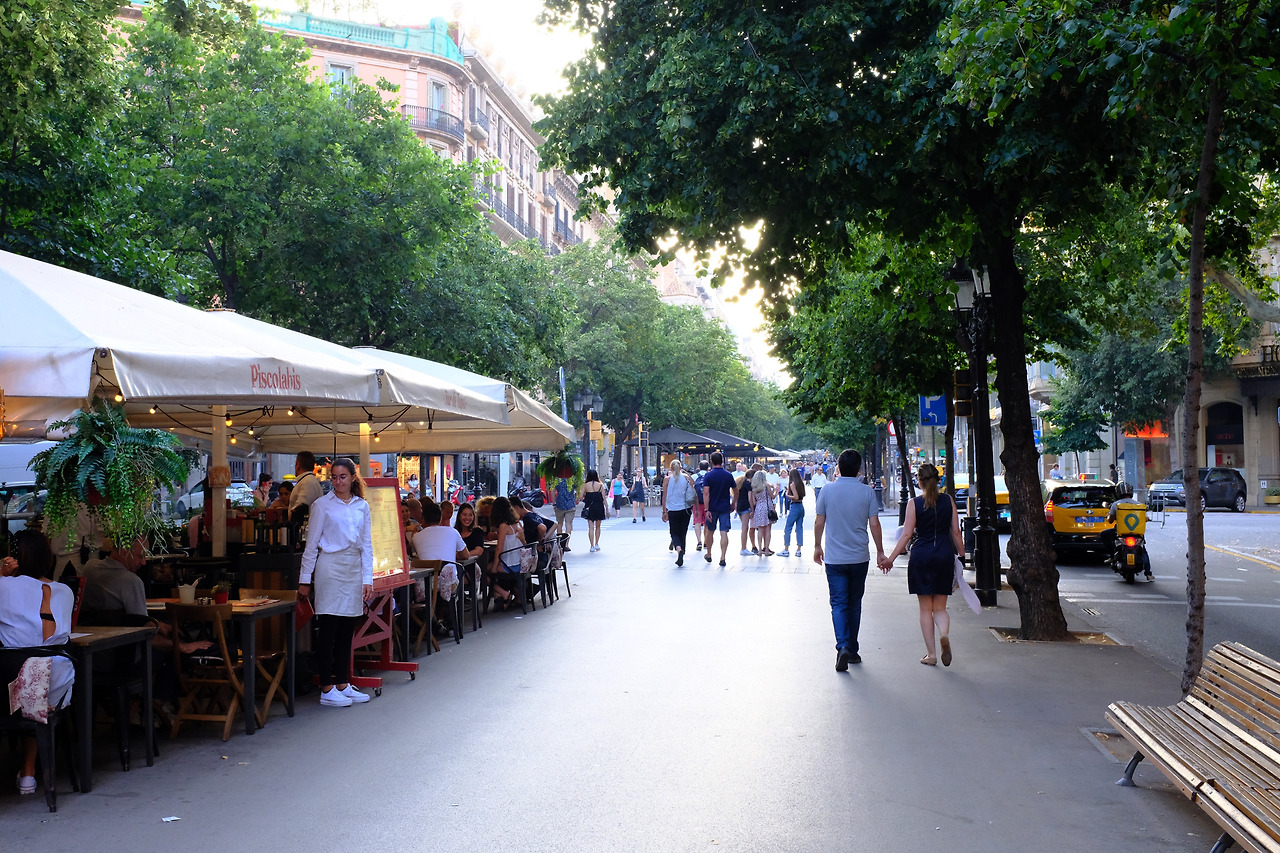 사진 2019. 7. 2. 오전 3 25 22.jpg