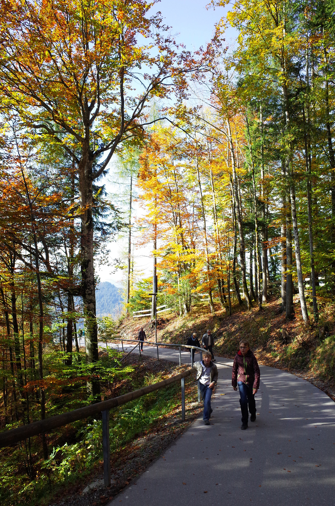 사진 2015. 10. 20. 오후 9 29 22.jpg